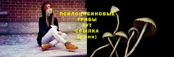 гидра Заволжск