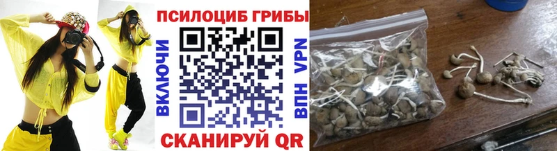 Галлюциногенные грибы прущие грибы  Глазов 